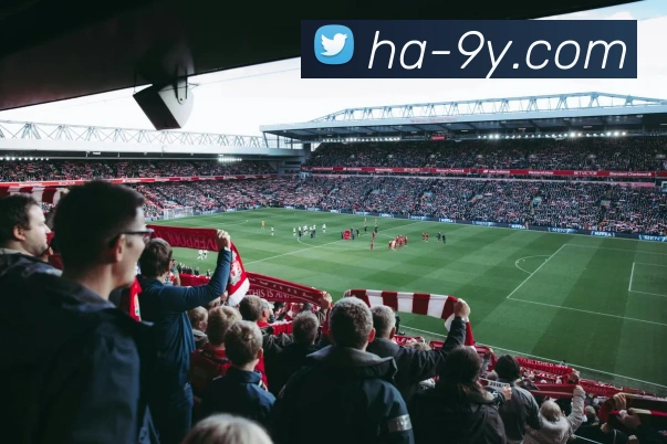 九游官网服务体系