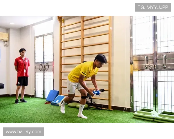 围绕莱西B级足球教练培养路径与地方青训发展策略研究模式探析